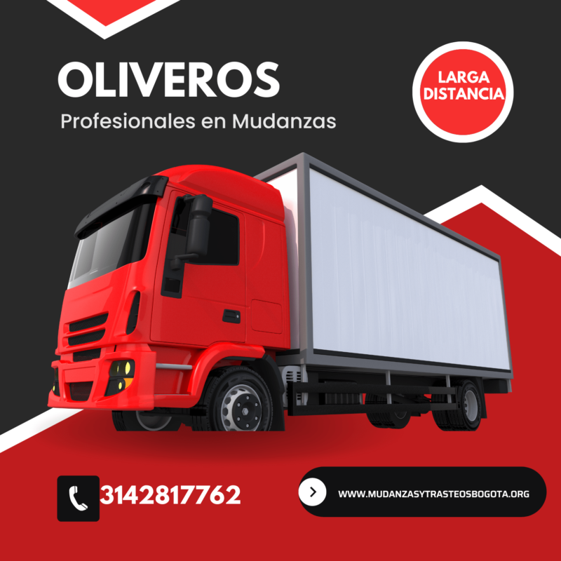 flota de mudanzas bogota